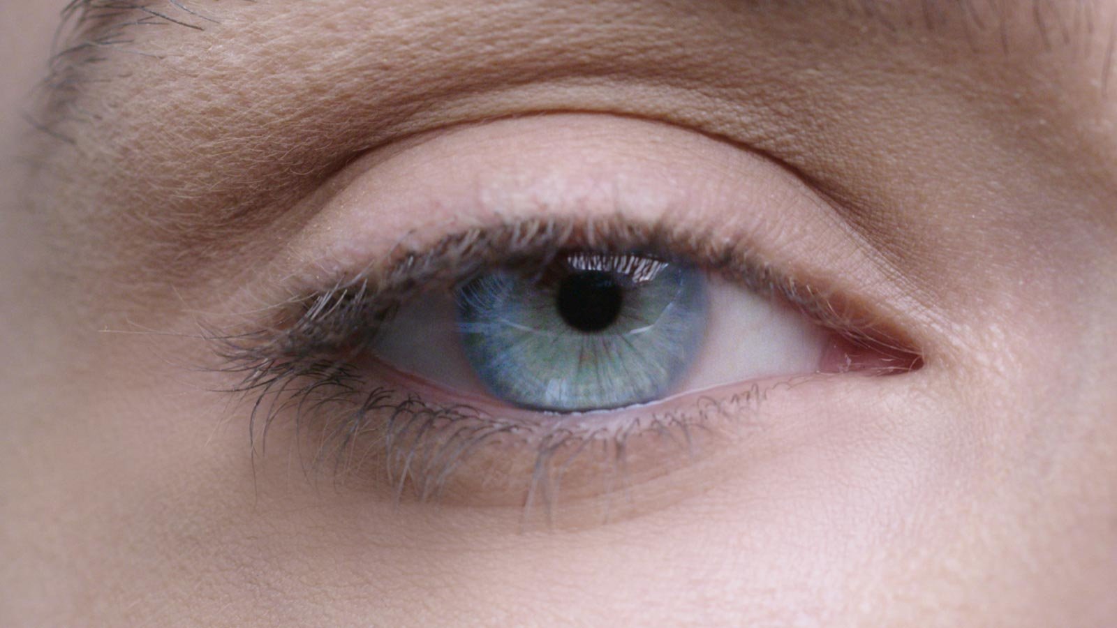 Test alt image Corentin
